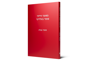 תמונה 2