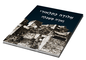 תמונה 3