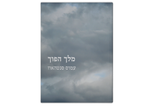 מלך הפוך, כריכה קדמית של הספר