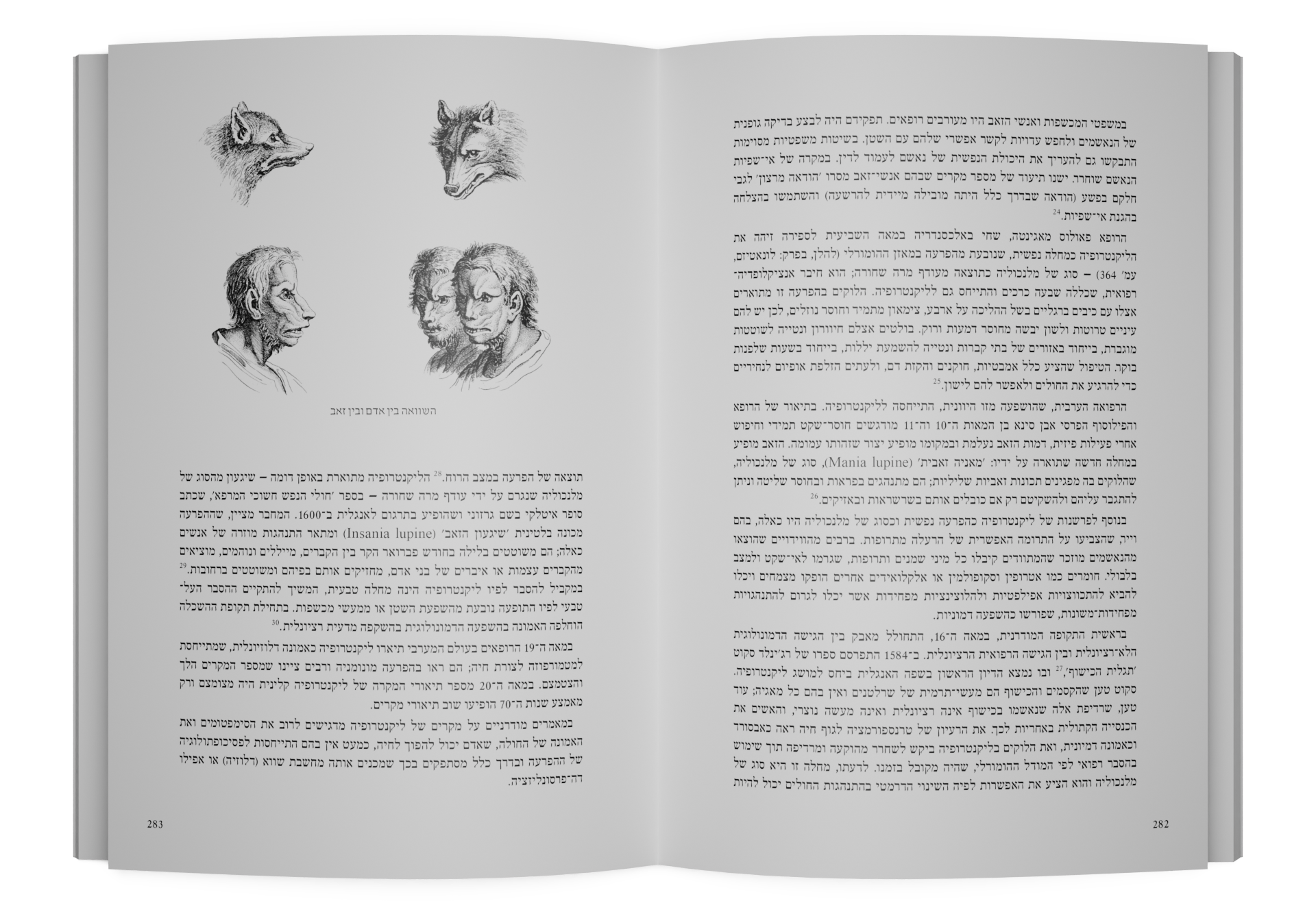 פרקים בהתפתחות הפסיכיאטריה — תמונה 6 מתוך 8