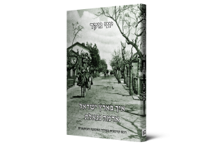 How is Land Redeemed in The Land of Israel: Purchase of Land in the Years 1882-1914 — תמונה 2 מתוך 3