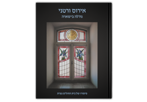 אירוס ורטני: סיפורו של בית החולים נצרת, כריכה קדמית של הספר