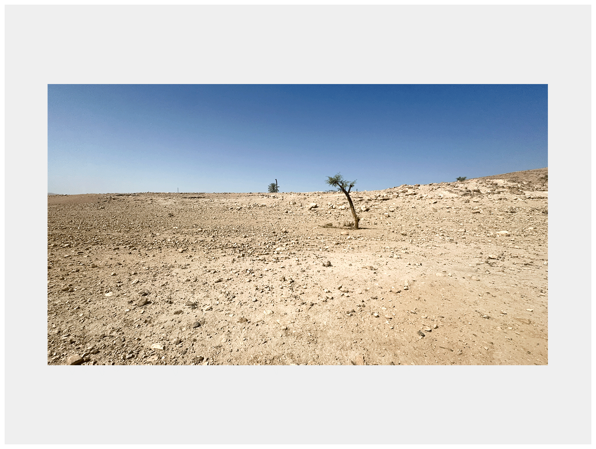 היופי של ראס עין אל־עוג'ה, ראס עין אל־עוג'ה, בקעת הירדן, 2025