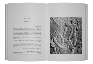 תמונה 5