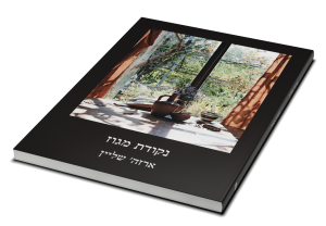 Vanishing Point — תמונה 3 מתוך 3