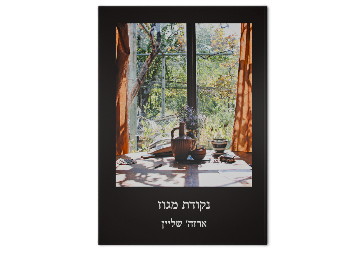 נקודת מגוז / Vanishing Point