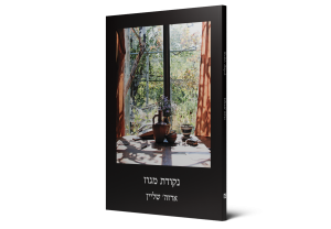 נקודת מגוז — תמונה 2 מתוך 3